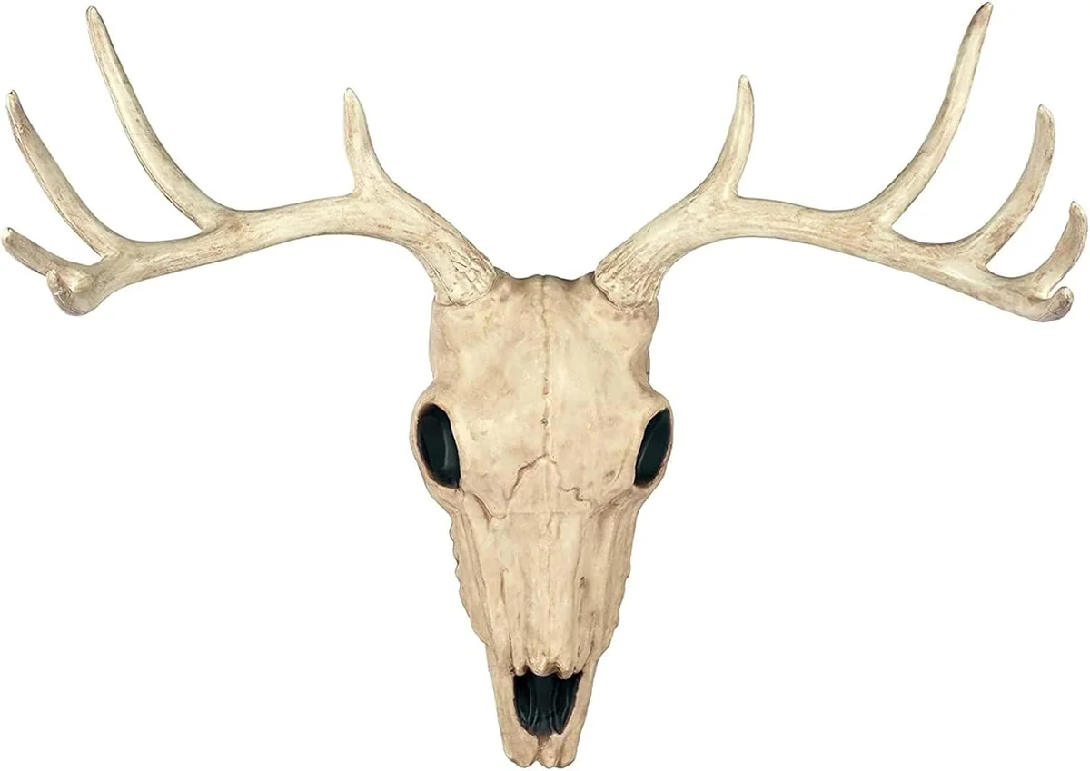Crazy Bonez faux-taxidermy 10-point buck deer skull wall decor, real product photo