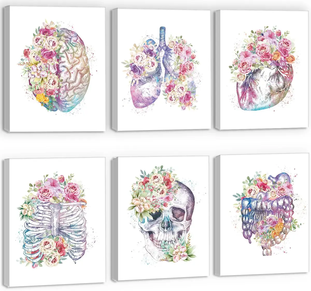 CHDITB Vintage Gothic Human Anatomy Poster Set — 6 Framed 8x10 Prints, Biology Floral Skeleton