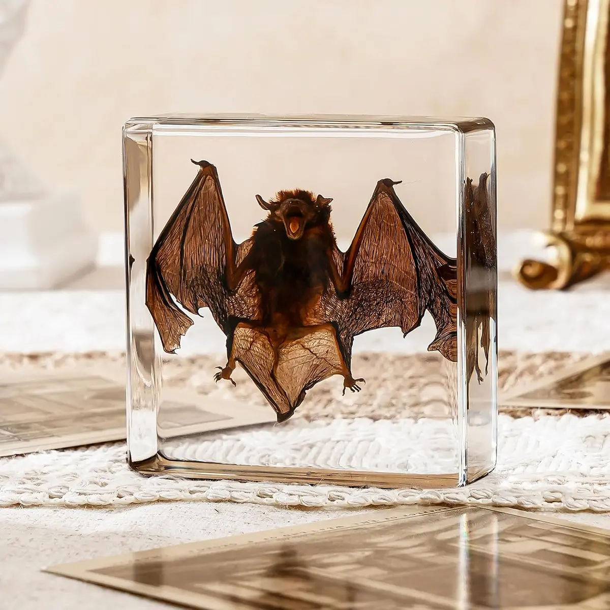 Resin Bat Taxidermy Specimen — Oddities-Style Cast Bat for Science Classroom Display, 3 × 3 × 1 in
