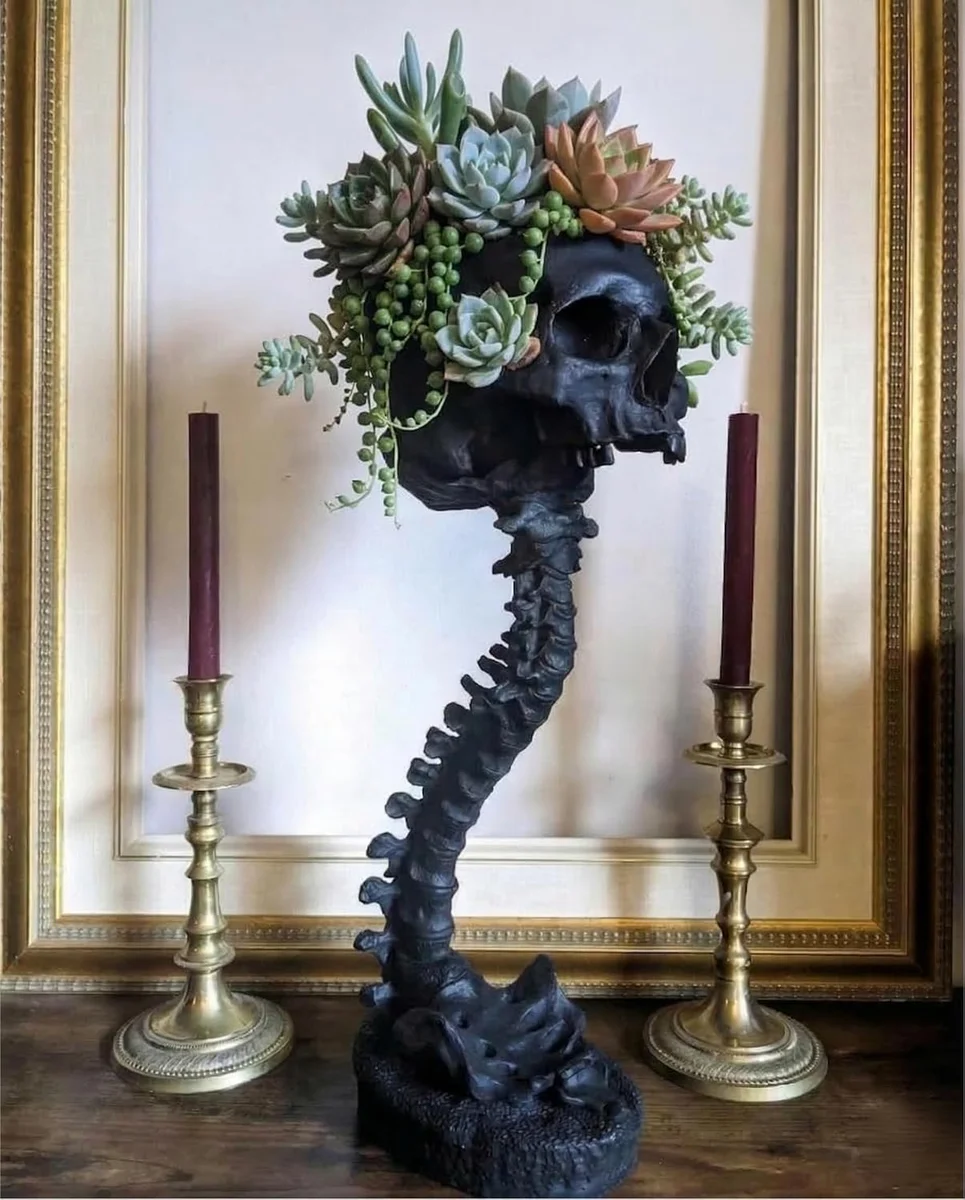 Black resin skeleton planter, 11.6 inches tall, designed for air plants (Tillandsia)