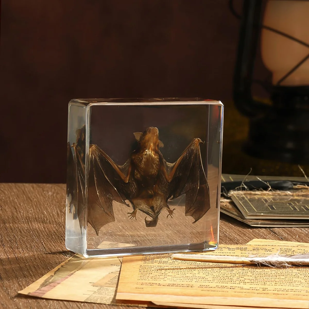 Real taxidermy bat specimen preserved inside a clear 3 x 3 x 1 inch cast resin block, sold as a science-classroom and collector oddity